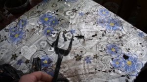 Как правильно сажать клубнику ФРИГО? Приспособление для посадки ФРИГО, без выкапывания ямок