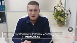 Все, что нужно знать о постельных клопах, чтобы быстро от них избавиться