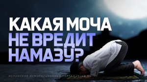 Какая моча не вредит намазу?