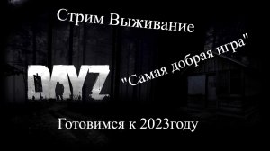 DayZ набираемся опыта к 23му году