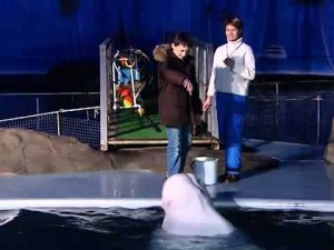 Жизнь замечательных зверей. Выпуск от 18 февраля 2011