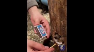 Лайфхак. Сверло для изготовления финской свечи. #Shorts