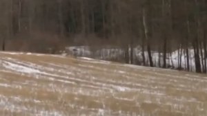 /Встреча с бесами НЛО.../
