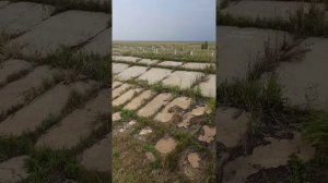 Кулундинский канал, Алтайский край