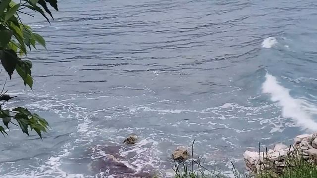 То, что находится глубоко в вашем сердце, произойдет с вами. Роберт Адамс смотреть онлайн