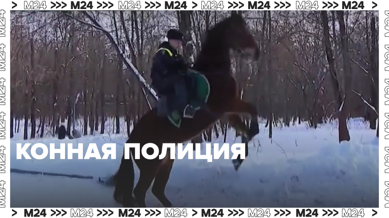 Конная полиция в Москве  Москва24  Контент