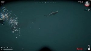БАНДА АКУЛИЙ ПЛАВНИК DEATH IN THE WATER 2 LETS PLAY