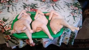 Откорм петухов. Контрольный забой#3. ЛПХ. 25 ноября 2016 г.