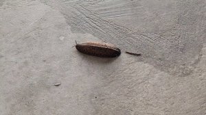 В сегодняшнем выпуске #3-12