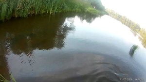 Ловля голавля на кузнечика корабликом часть 1