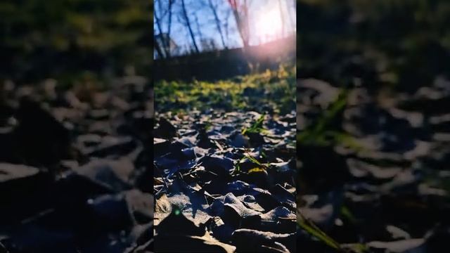 Солнечный осенний Наро-Фоминск 2021 смотреть онлайн