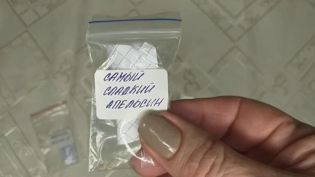 Какие томаты от "МАЛИННИКА". Цена-качество, обзор смотреть онлайн