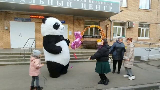 Панда ЕЖЕВИКА встречает и поздравляет двух красавиц;) смотреть онлайн