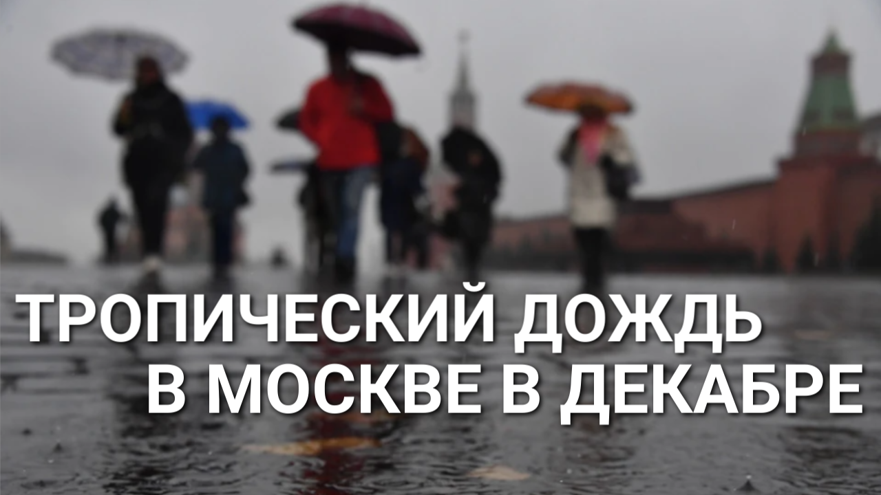 Тропический дождь в Москве 11-12 декабря