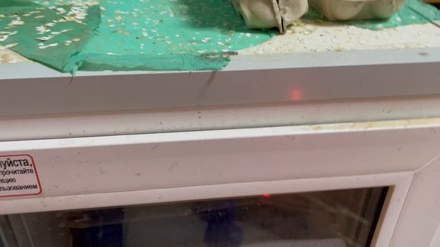 21-06-2023 смотреть онлайн