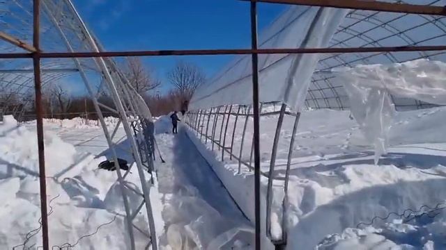 Добро пожаловать в питомник "Жигулевские саженцы"? смотреть онлайн