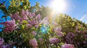 (12+) Как провести выходные 03-04 августа?