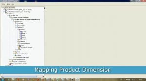 3 Oracle  Warehouse Analytic Workspace OLAP 11g cubes Mapping