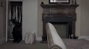 Мой Ангел Хранитель   My Guardian Angel 2016 BDRip vk com Feokino mp4 360 1