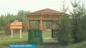 В лесах Башкирии начался сбор шишек