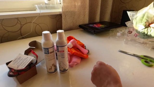 Накупила всякой всячины для своих сфинксов и кошечки. А вы так делаете?