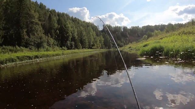 Хариус в августе по низкой воде, День Bassday Kobun, Вологодская область. смотреть онлайн