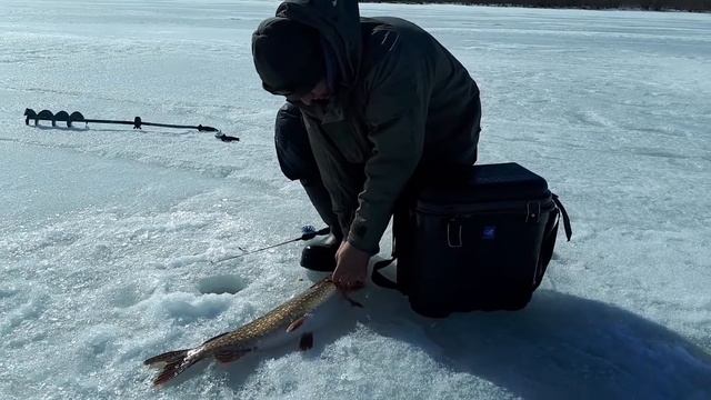 Щука апрель 2018 смотреть онлайн