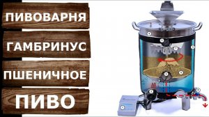 Моё первое пиво! Варю пшеничное пиво на пивоварне ПВК Гамбринус.