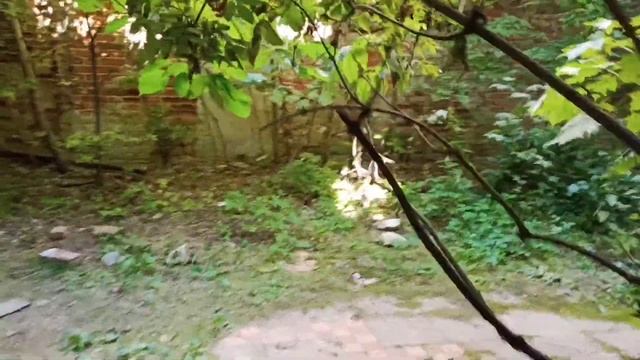 Заброшенная усадьба Голицыных.Рассказывает Сергей Уткин.