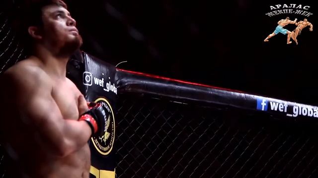 Азиатский Медведь мурод Хантураев против хосико смотреть онлайн