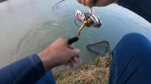 Smith interboron ibxx50mt,  работа бланка на вываживании форели