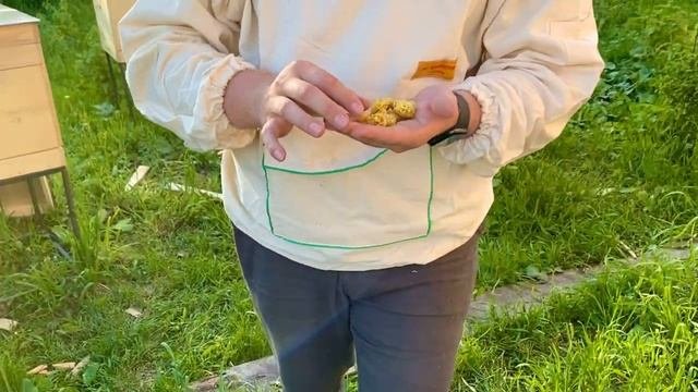 Маточное молочко