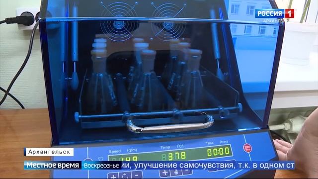 Учёные разрабатывают полезное арктическое питание смотреть онлайн