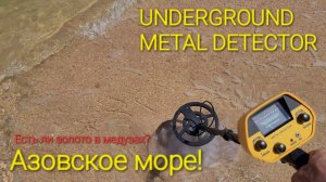 Ищем золото на Азовском море! UNDERGROUND METAL DETECTOR. #голубицкая