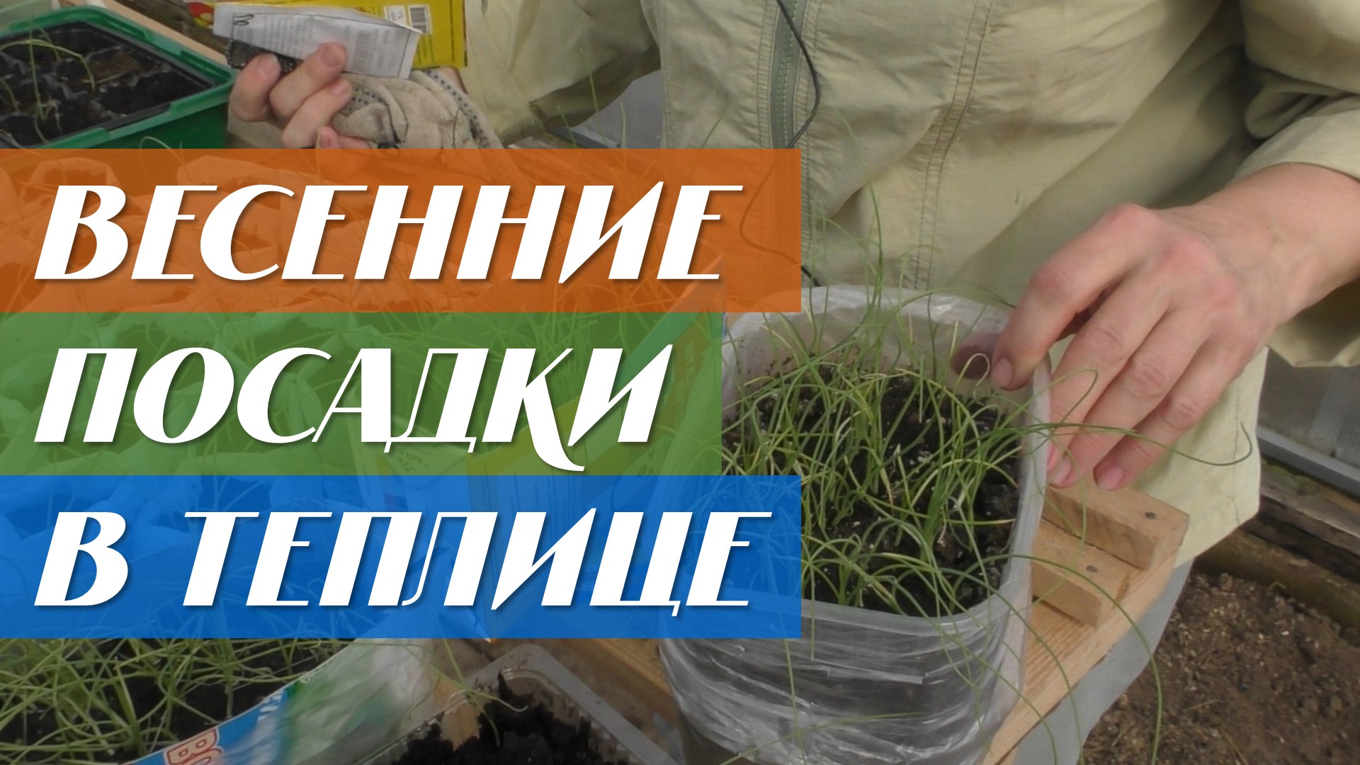 Первые весенние посадки в теплице