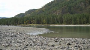 Почему Никита приехал на Алтай