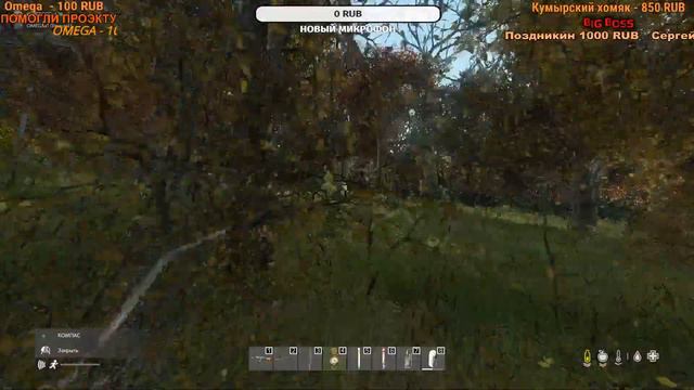DayZ patch 1.09 !Прогулка по Черно СтримДейз