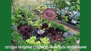 Современный дизайн огорода для дачи