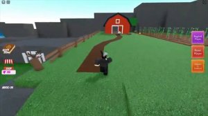 Как получить ПИРАТСКУЮ ШЛЯПУ в WACKY WIZARDS | Roblox