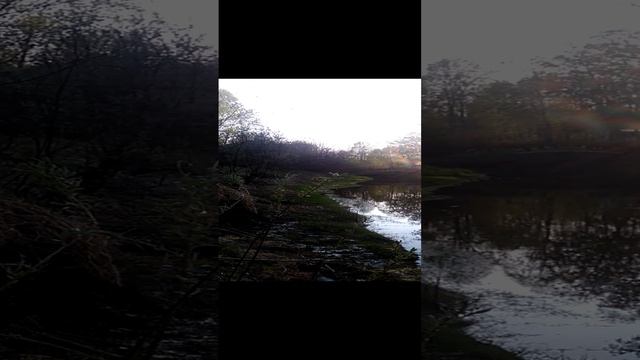 Весна на таежной речке