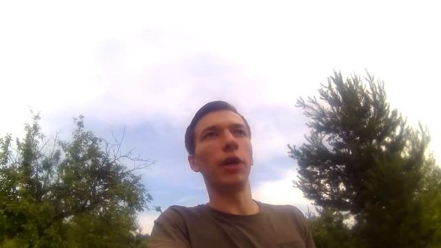 СМОЖЕТ ЛИ ПИТБУЛЬ\\АМСТАФФ ЗАЩИТИТЬ ХОЗЯИНА
