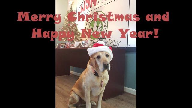 XMAS GIF смотреть онлайн