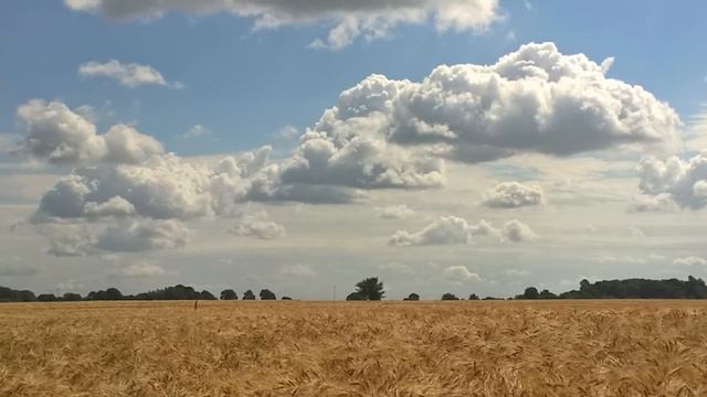 Евангелие дня. Библейские чтения. Седмица 5-я Великого поста. (01 апреля 2020 г.) смотреть онлайн