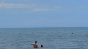 Дельфины на пляжах Анапы #Анапа #Витязево