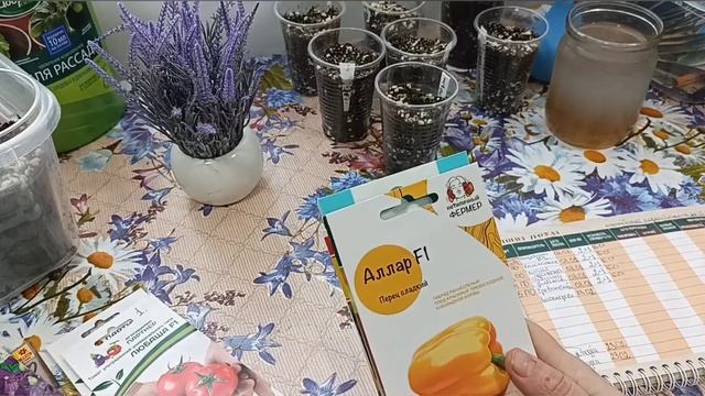??ЛУЧШИЕ СРОКИ ПОСЕВА СЛАДКОГО БОЛГАРСКОГО ПЕРЦА ✨?ПЕРВАЯ подкормка моей рассады перца.?️?