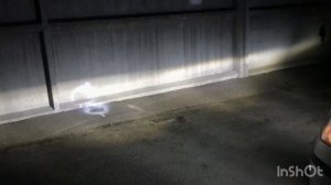 Led ПТФ Octavia A5
