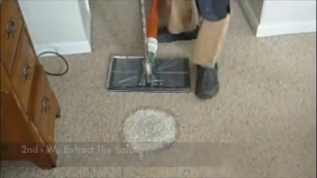 Dog & Cat Pee Cleaning Missoula Urine Cleaning Service смотреть онлайн