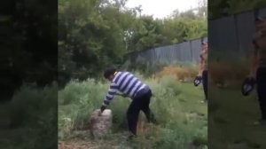 Алкаш и пена монтажная