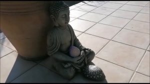 NEW SPIRIT of MANTRA Celebration by Sonja Ariel von Staden | 18.07.2021