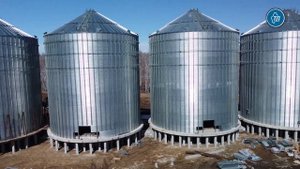 Завод по глубокой переработке гороха строит агрохолдинг Юбилейный в Ишиме